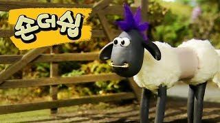 양털을 깎지 마세요 - 숀 더쉽 [Shaun the Sheep Korea | Full Episode]