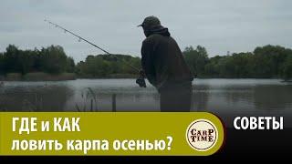 ️ ВАЖНО карпятникам! Как ИСКАТЬ карпа осенью? Какую ТАКТИКУ выбирать? Карпфишинг ОСЕНЬЮ! СОВЕТЫ