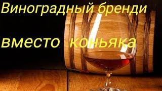 виноградный бренди своими руками из винограда сорт Августин