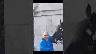 When kings guards and horses dealt with tourist #horseguard