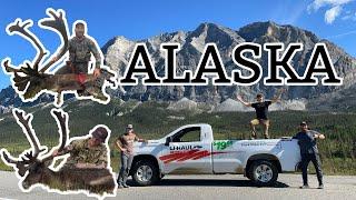 EPIC DIY Caribou Hunt in the Wild North! - Haul Road Adventure