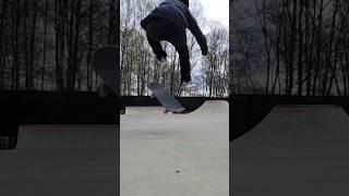 Switch FS Bigspin Flat