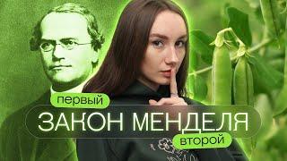 Первый, второй закон Менделя | Катя Грицай | Биология ЕГЭ