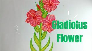 How To Draw Gladiolus Flower Step By Step.