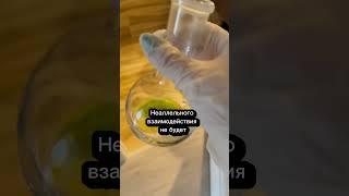 Новости ЕГЭ по биологии? #биология #егэ #егэ2024