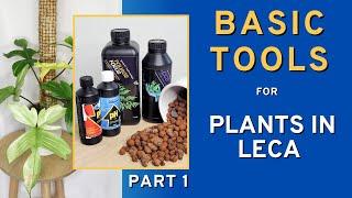The BEST Semi-Hydroponics Toolkit for Beginners