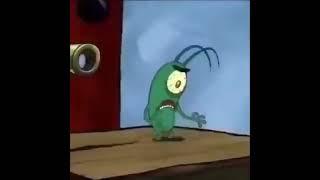 plankton