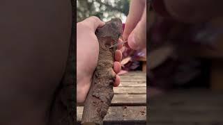 A pipe from Home Depot Mulch?? #carving #woodcarving #satisfying #nature #woodworking #relaxing