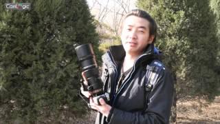 【CamLogic 相机逻辑】Olympus 奥林巴斯 M.ZUIKO DIGITAL ED 300mm F4.0 IS PRO Lens Review