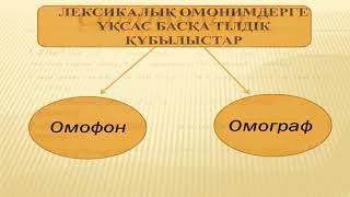 4 Лексикалық омоним, синоним, антоним сөздер