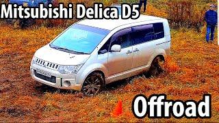 Mitsubishi Delica off-road. Why did he come here?