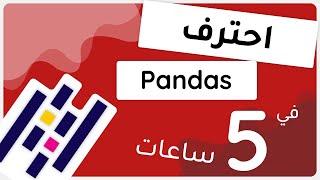 Pandas Crash Course in 5 hours || احترف مكتبة البانداس في 5 ساعات