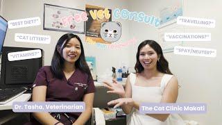 Vet Answers YOUR Biggest Cat Questions