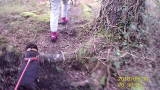 My Life 2019 A walk in nature