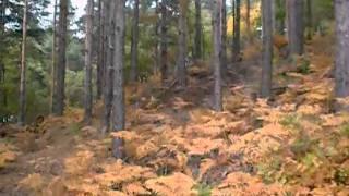 Stefan Merkov - Na porti chuka i ruka.