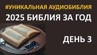 День 3. Библия за год. Библейский ультрамарафон портала «Иисус» 2025