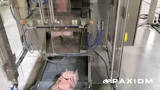 Frozen Food Packaging Machinery System