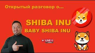 BABY SHIBA INU | Andre Sherbina | 29 DECEMBER, 2023