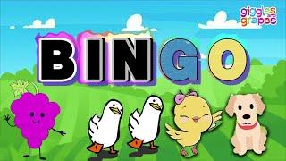 Sing And Clap Along With The Bingo Poem! | Giggles & Grapes