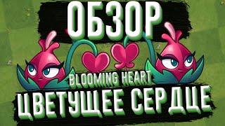 Обзор Цветущего сердца (Blooming Heart), растение из Plants vs Zombies 2