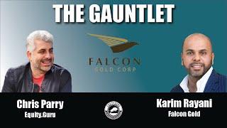Falcon Gold (FG.V) CEO explains value proposition of acquisition strategy