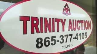 Trinity Auction in Halls Crossroads - Knoxville, TN