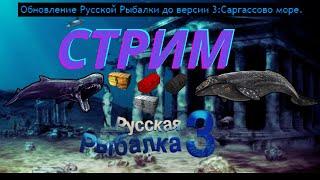 Эй. Пошли половим Фина ) Стрим РР3