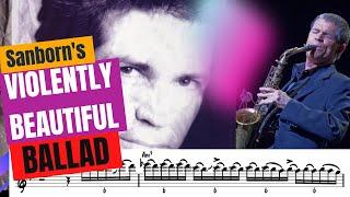 David Sanborn Reminds Us Why Music Makes Us Cry (Everything Must Change Full Transcription)