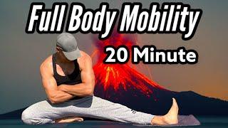 20 Min Yoga for Athletes, Runners & Martial Arts - Full Body Mobility Routine (FOLLOW ALONG)