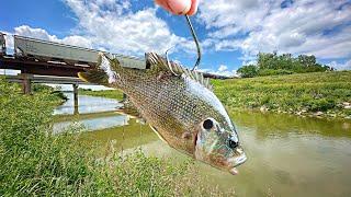 River Monsters Migrated Into This BOTTOMLESS CANAL!!! (Violent Takedown)
