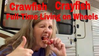 "Crawfish Campfire Feast: Full-Time Camper Life Cooking" #genxers #howto #fulltimerv #rvlife #simple