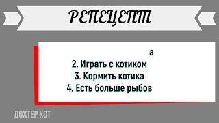 Кот - лучших доХтор в интернете. Приколы от кота Кот Дзен. Смешной кот и его смешные видео