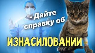 Это повергло всех в ужас | Кот умирал в переходе рядом с пьяным бомжом …