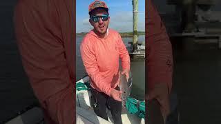 Catching fish #redfish #fishing #fishinglife #fishingtips #fish #boat #boating #boatlife #outdoors