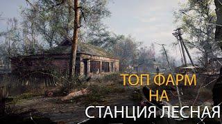 Фарм для Новичка (Станция Лесная) Stalker Online (Stay Out)