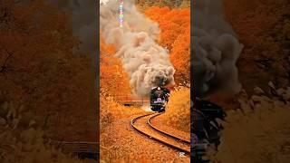 places on earth that don't feel real #travel #nature #explore #shorts