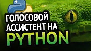 Голосовой ассистент на  Python | Урок как сделать?