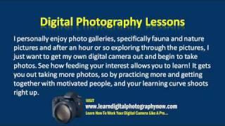 Learning Digital Photography - How To Think Like An Expert Photographer