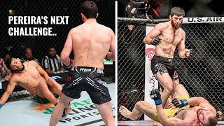 Magomed Ankalaev Knockouts Ranked By Brutality