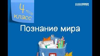 Познание мира. 4 класс. Моя безопасность в искусственной среде /27.01.2021/