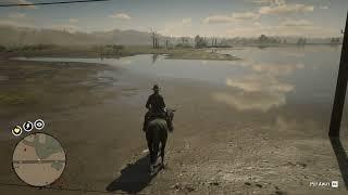 37. Whooping Crane location RDR2