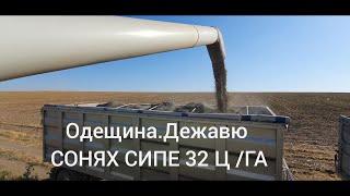 Гібрид ЕС Саксон.Уборка 2020 .Соняшник по 32 ц-дежавю на Одещині.