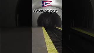 Only in Ohio#ohio#meme#edit#monster#shorts#viral