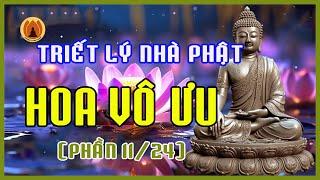 Hoa Vô Ưu (PHẦN 11/24) - Những tuyệt phẩm mang triết lý nhà Phật