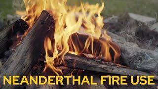 Neanderthal Fire Use on Lunch Break Science!