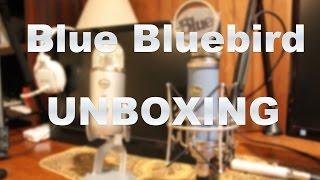 Blue Bluebird Microphone Unboxing And Blue Yeti Comparison