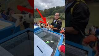 Japanese unbelievable millions of dollars koi fish farming ?