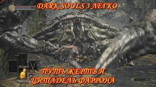 Dark Souls 3. Путь жертв и Цитадель фаррона.