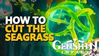 Cut the Seagrass Genshin Impact