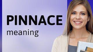 Pinnace • meaning of PINNACE